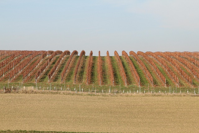 Landwirtschaft, Bauernhof, Feld, Natur