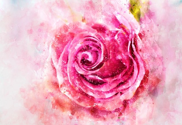 Free rose watercolor pink illustration