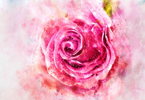 Rose, Natur, Akvarell, Rosa, Bukett