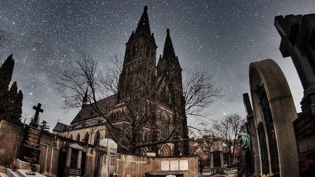 Free Cathedral Night Sky photo and picture