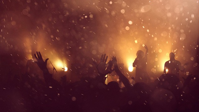 Free Action Concert photo and picture