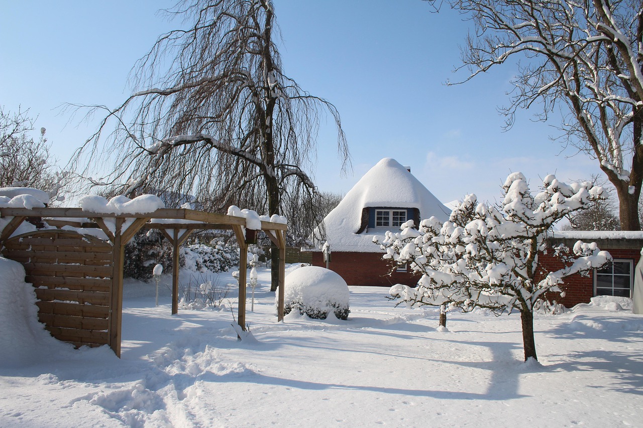 冬天 雪 寒冷的 - Pixabay上的免费照片 - Pixabay