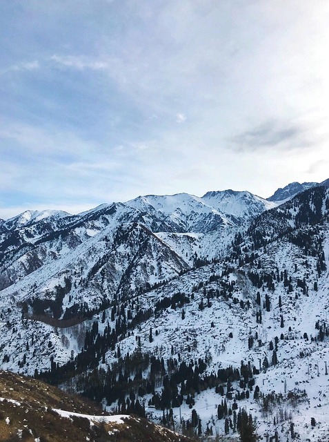 Free Snow Mountain photo and picture