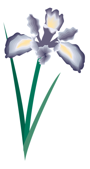 Blomst, Ikon, Symbol, Tilfældigt, Sommer