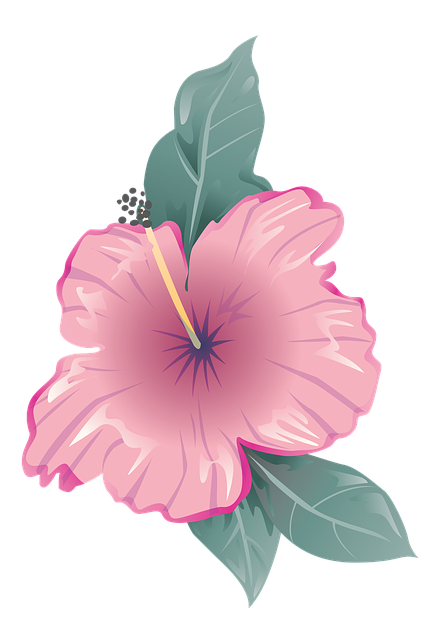 Blomst, Ikon, Symbol, Design, Flad