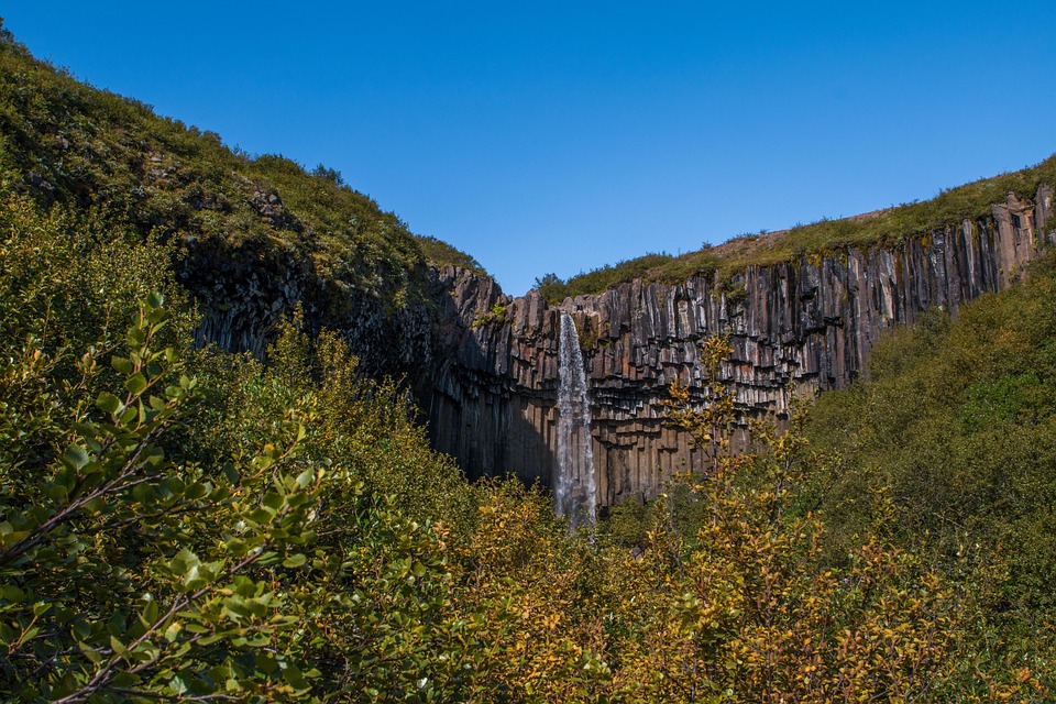 nature-3197741_960_720.jpg
