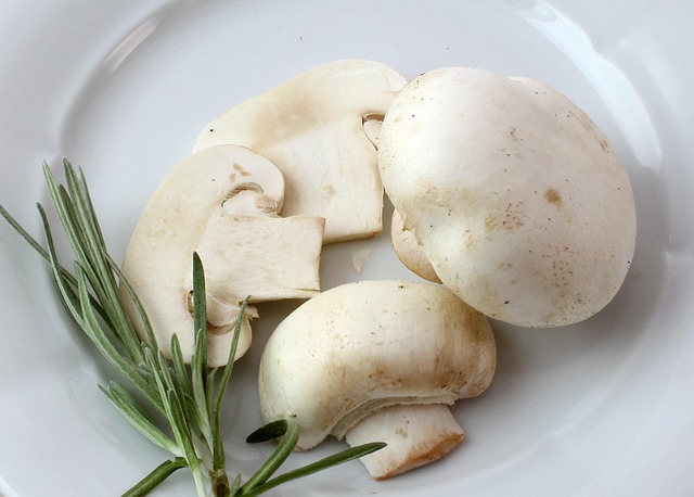 Free Mushrooms Food photo and picture