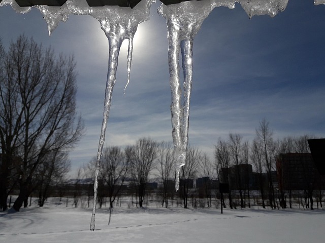 Winter, Sneeuw, Koud, Boom, Ijs, Natuur