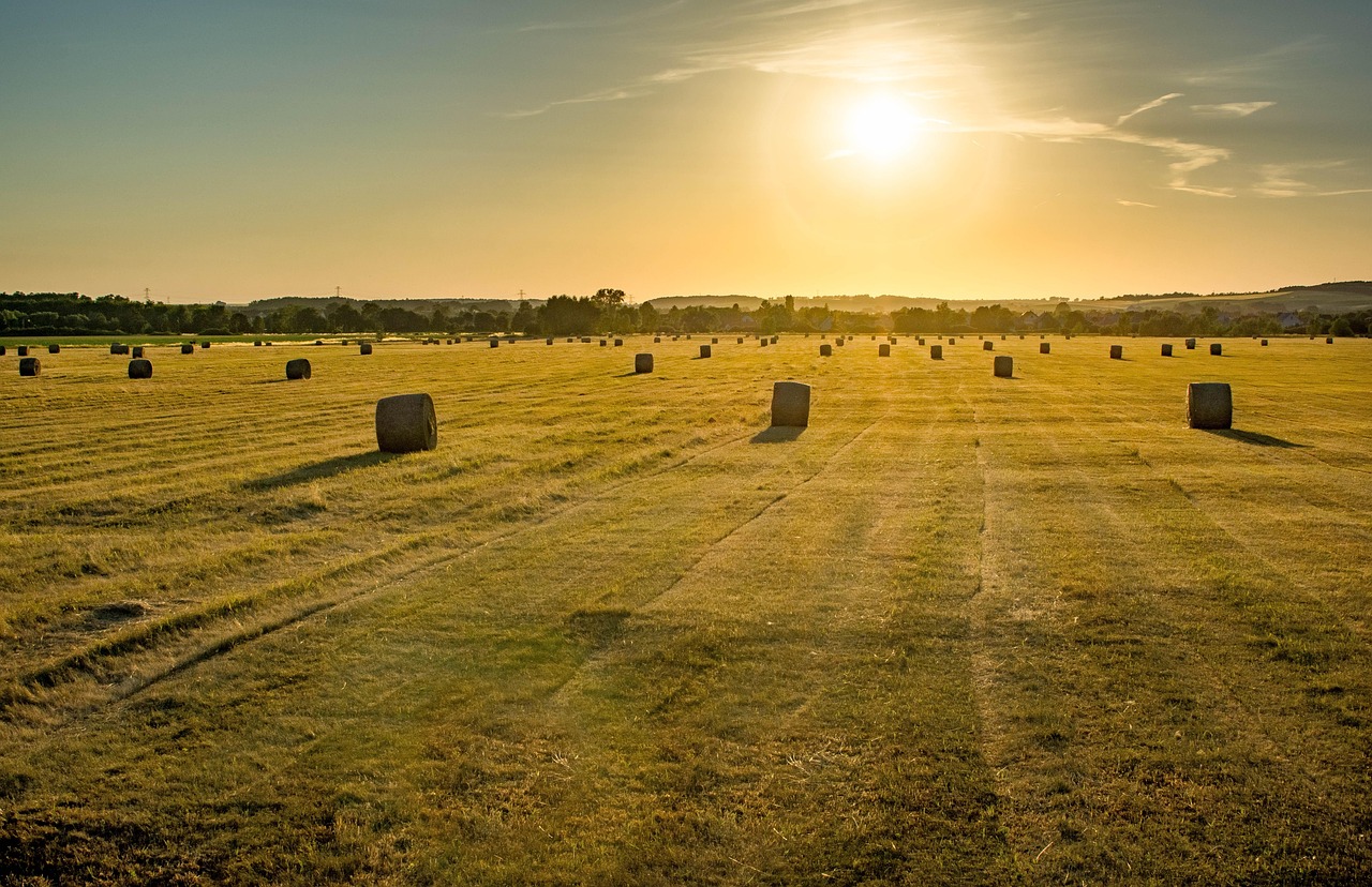 Champ Cultiver Paysage - Photo gratuite sur Pixabay - Pixabay