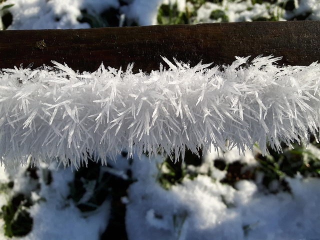Free Winter Frost photo and picture