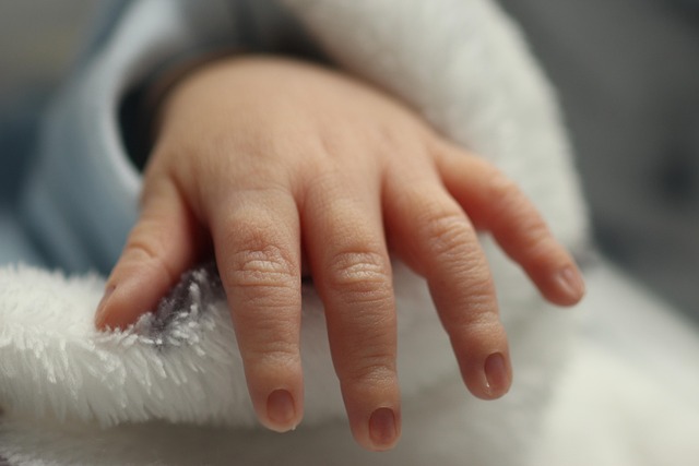 Free Hand Baby photo and picture
