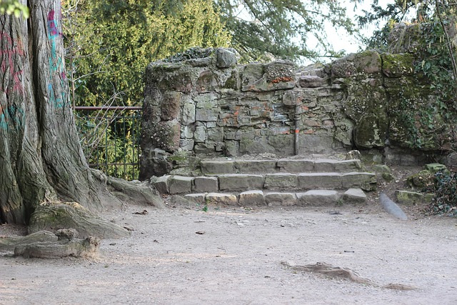 Natuur, Pierre, Park, Muur