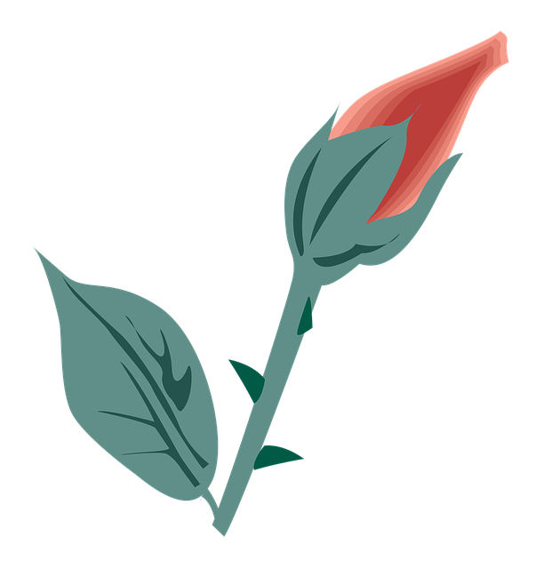 Free flower symbol icon illustration