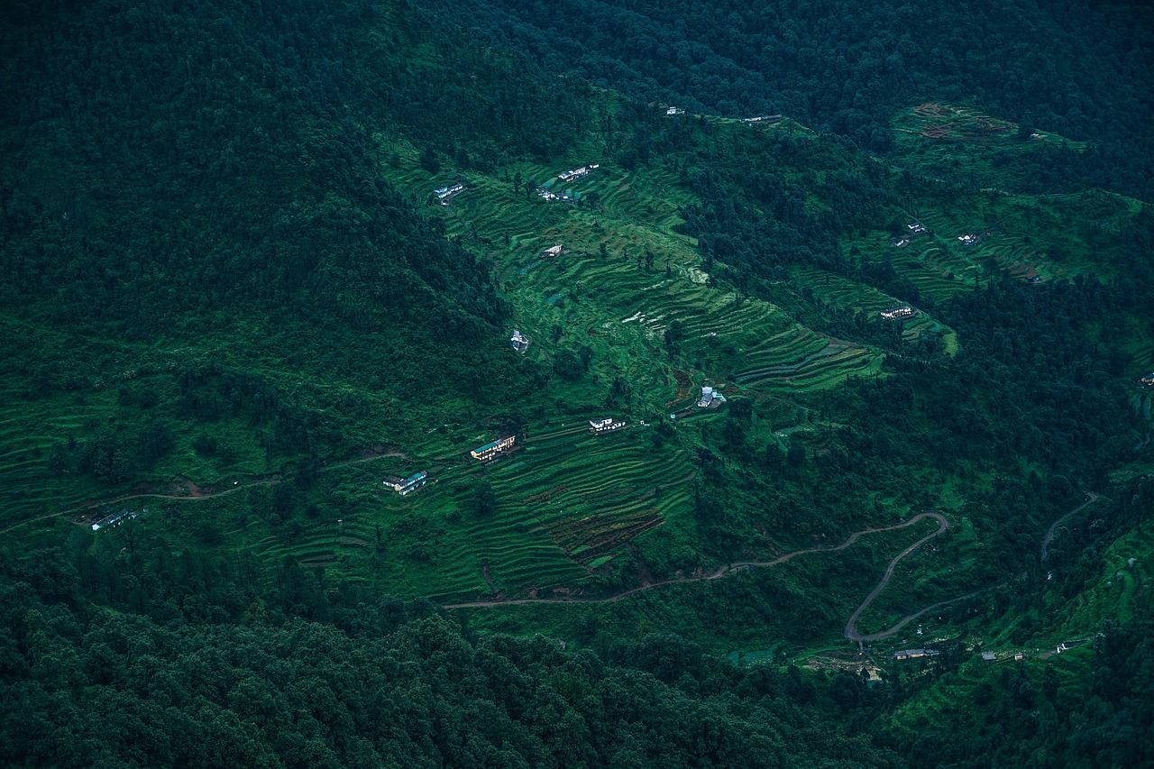 Plateau - free online jigsaw puzzle photo