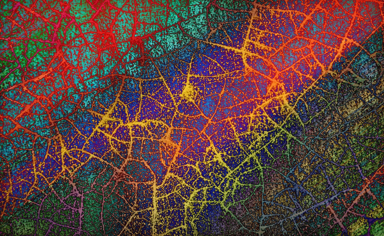 Pattern - free online jigsaw puzzle photo