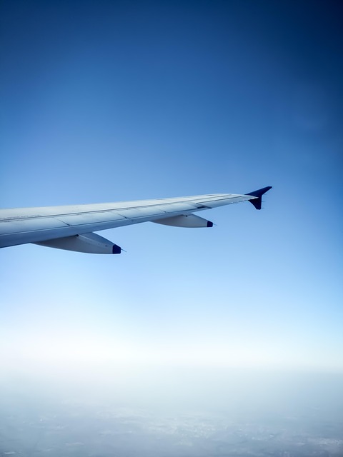 Fly, Himmel, Flyvningen, Transportsystem