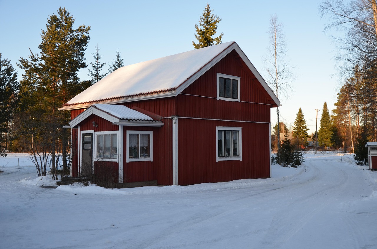 Snow - free online jigsaw puzzle photo