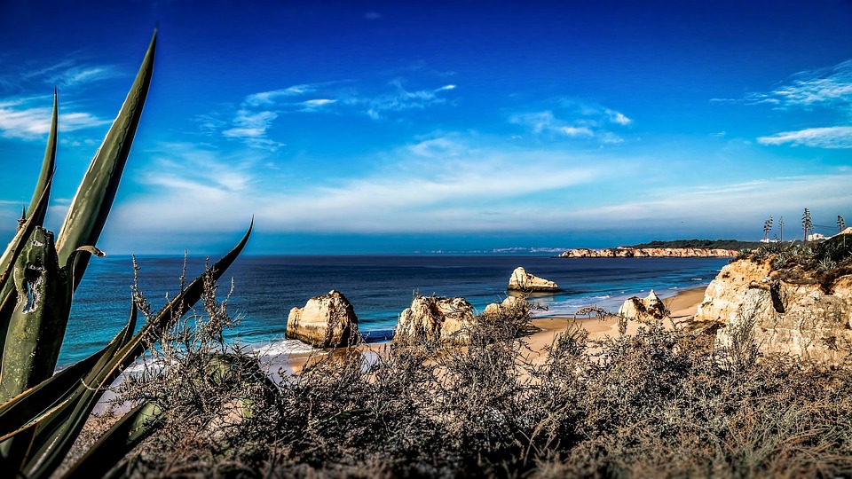 Wine Not? Exploring the Algarve’s Hidden Vineyards and Wineries