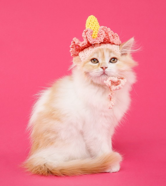 Free Jelly Carpet Ghz Marie photo and picture