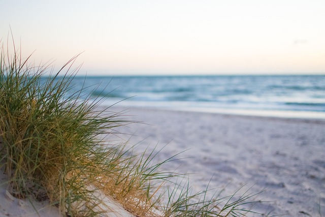Free Sea Beach photo and picture