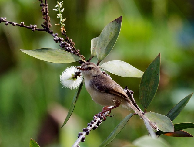 Free Nature Outdoors photo and picture