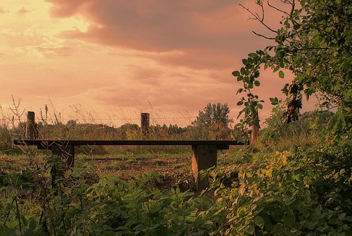 Natur, Træ, Landskab, Himmel, Solnedgang