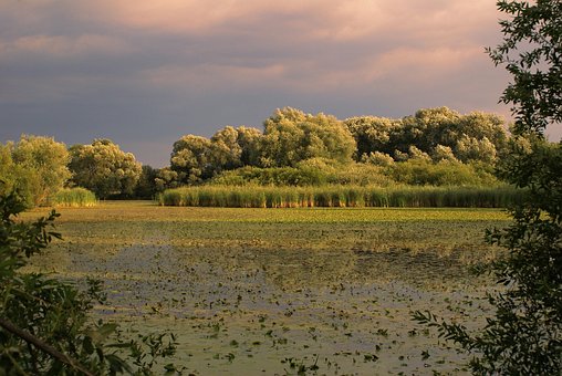 Natur, Landskab, Himmel, Sø, Dam