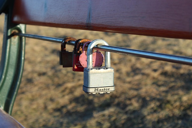 Free Padlock Love photo and picture