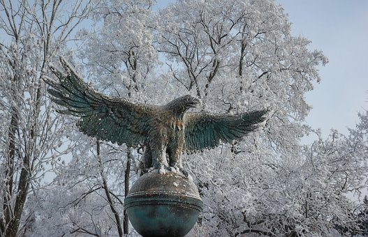 Free Tree Nature photo and picture
