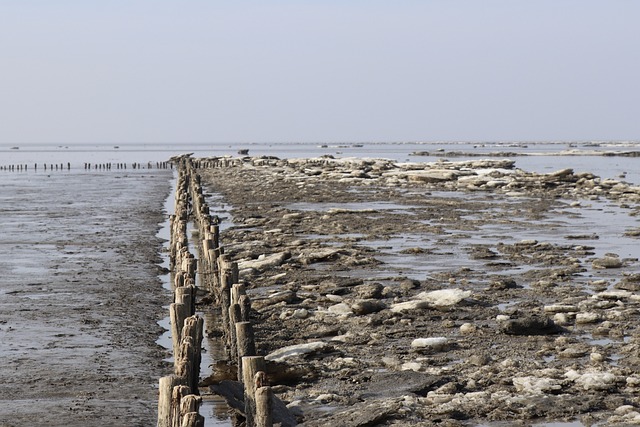 Free Waters Sea photo and picture