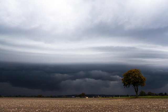 Free Thunderstorm Storm photo and picture