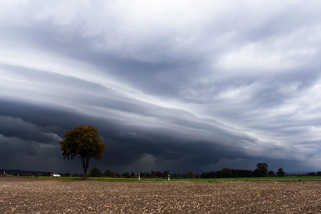 Free Thunderstorm Storm photo and picture