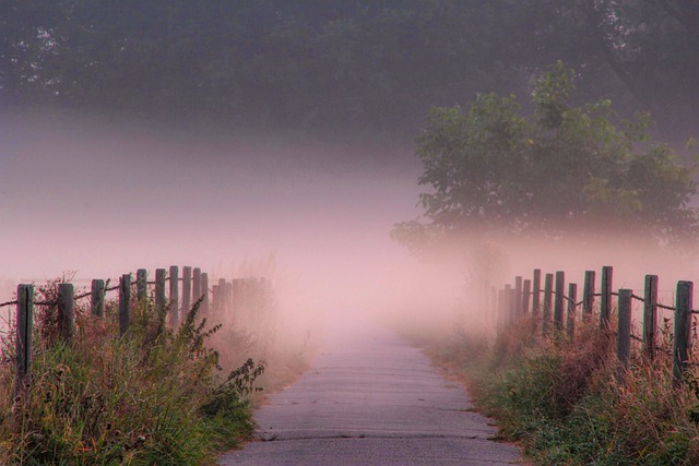 Free Dawn Fog photo and picture