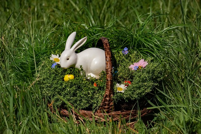 Free Osterkorb Easter Bunny White photo and picture