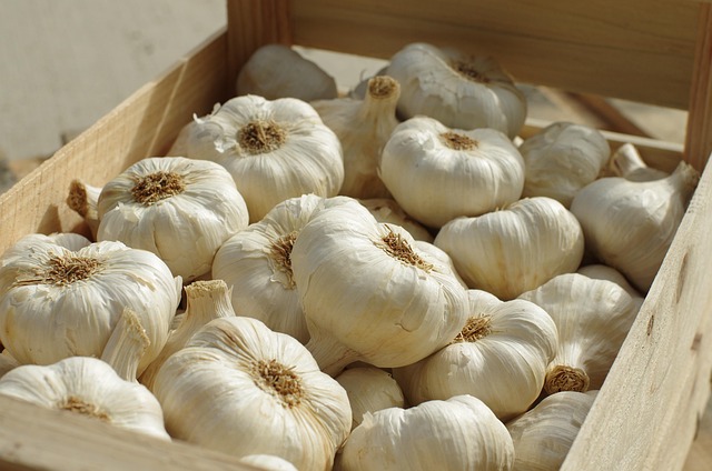 Free Garlic Garlic White photo and picture