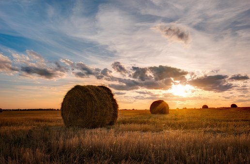 Free Landscape Field photo and picture