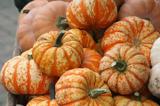 Free Pumpkin Halloween photo and picture