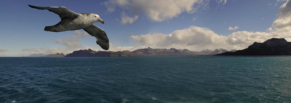 Free Waters Nature photo and picture