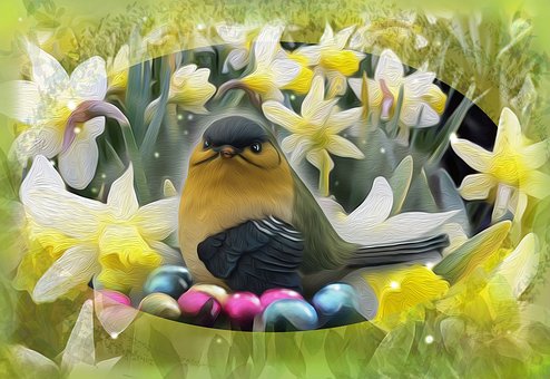 Ostern, Vogel, Blumen, Narzissen