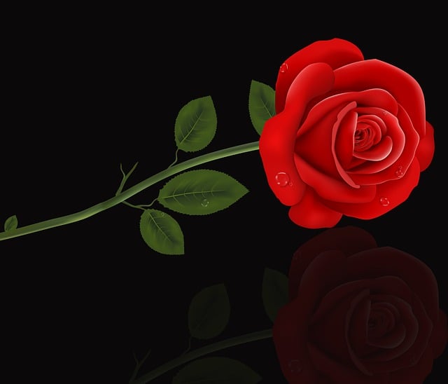 Free rose romantic flower illustration