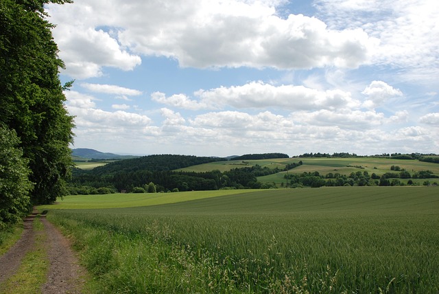Free Landscape Panorama photo and picture