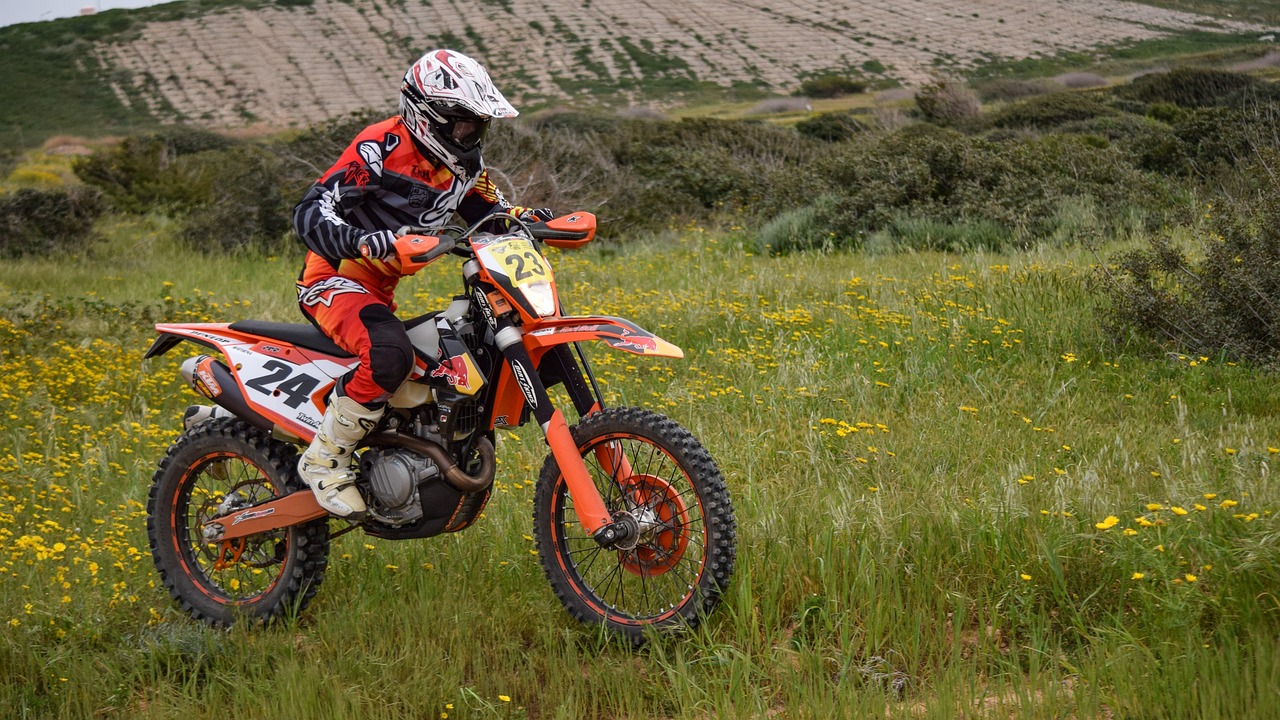bike-3209866_1280.jpg