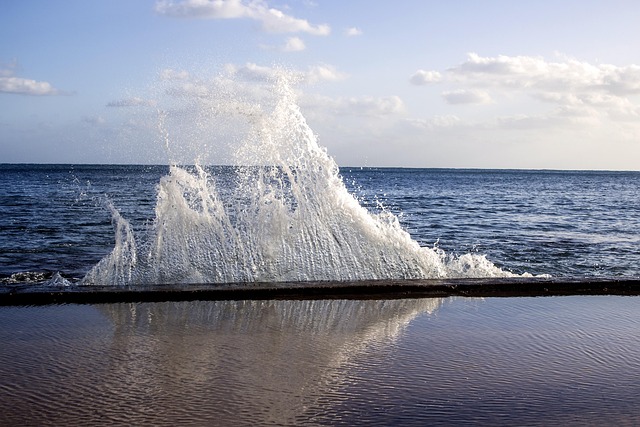 Free Sea Ocean photo and picture