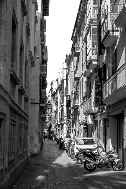 Free City Alley photo and picture