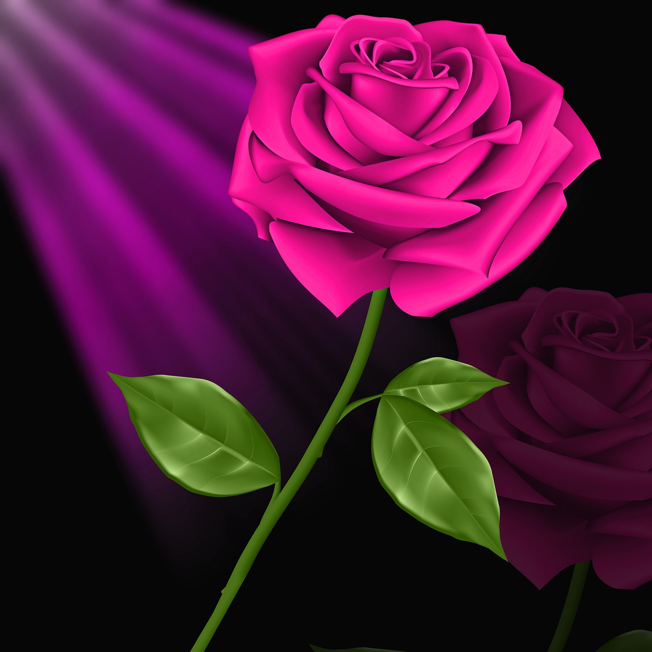 flor-amor-planta-imagens-gr-tis-no-pixabay