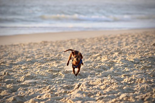 Free Beach Sand photo and picture