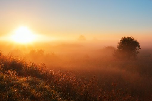 Free Fog Dawn photo and picture