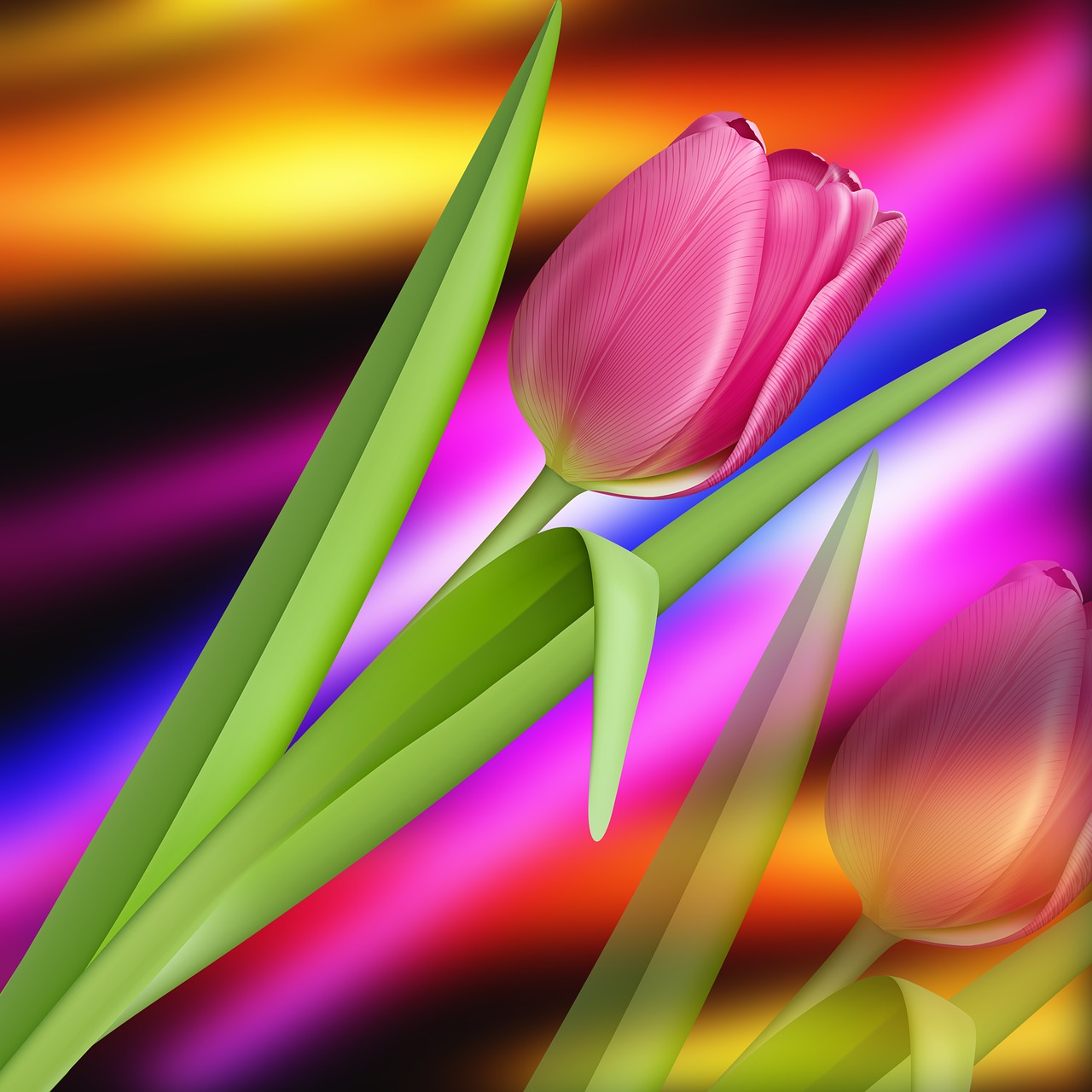 Download Nature, Tulip, Colors. Royalty-Free Stock Illustration Image ...
