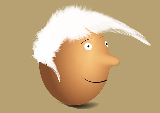 Free eggs food eyes illustration