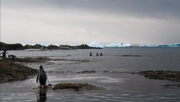 Free Waters Sea photo and picture